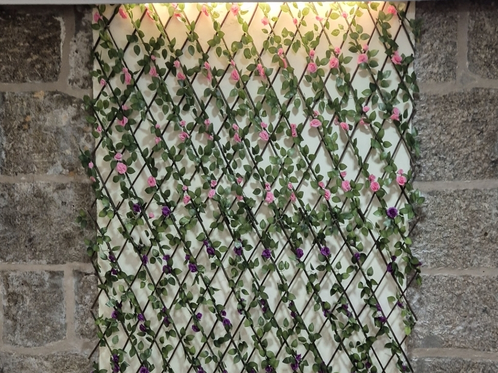 Foto establecimiento 4